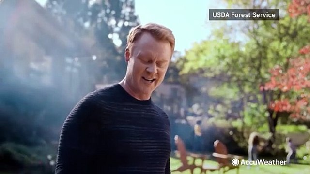 80 years of wildfire safety with Smokey Bear