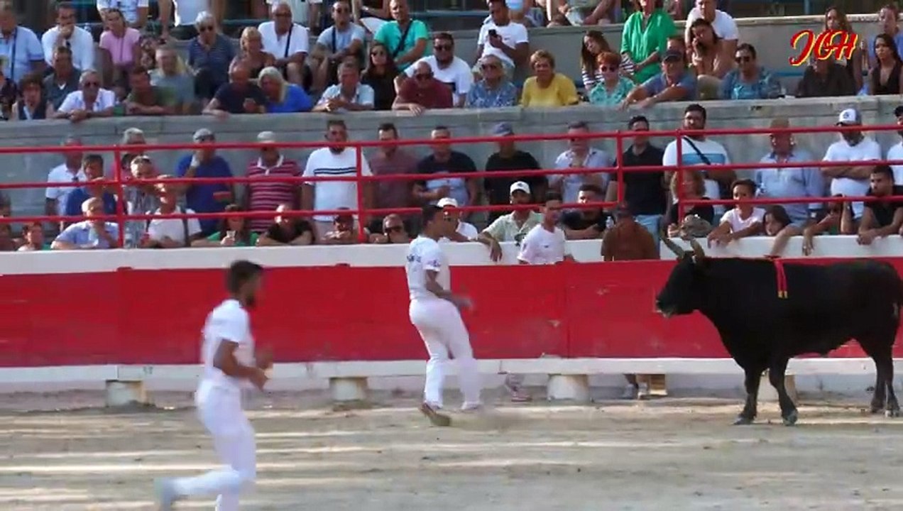 2iè journée de la Palme d'OR 2024