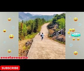 "Hilarious Human and Animal Moments | Funniest Compilation Ever!"