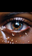 Education and Entertainment