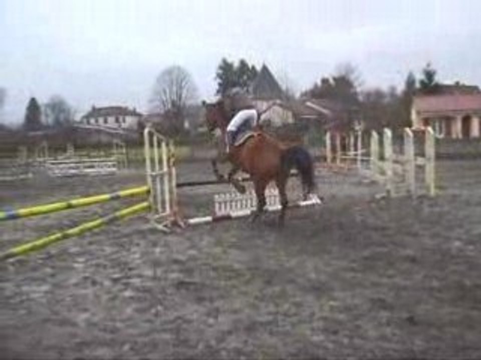 Gladiis et Ariié sur la 80 cm
