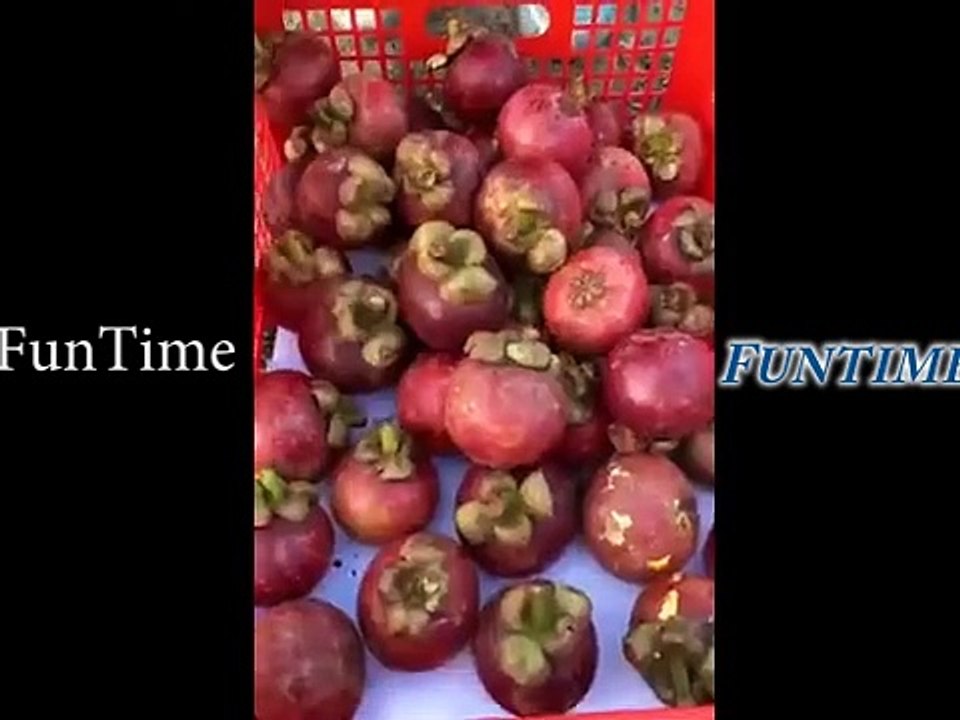 Funny Tik Tok / Super funny collection! Funny videos of mother and daughter! Original, funny, big twists, creative, and imaginative... I lose if you guess the ending Part 14 Fun Time