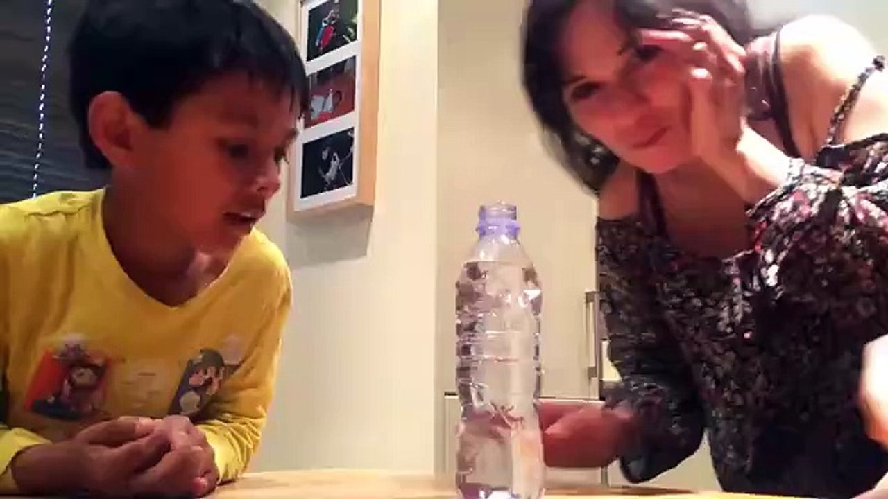 Best Fails of The Week: Funniest Fails Compilation: Funny Video | FailArmy