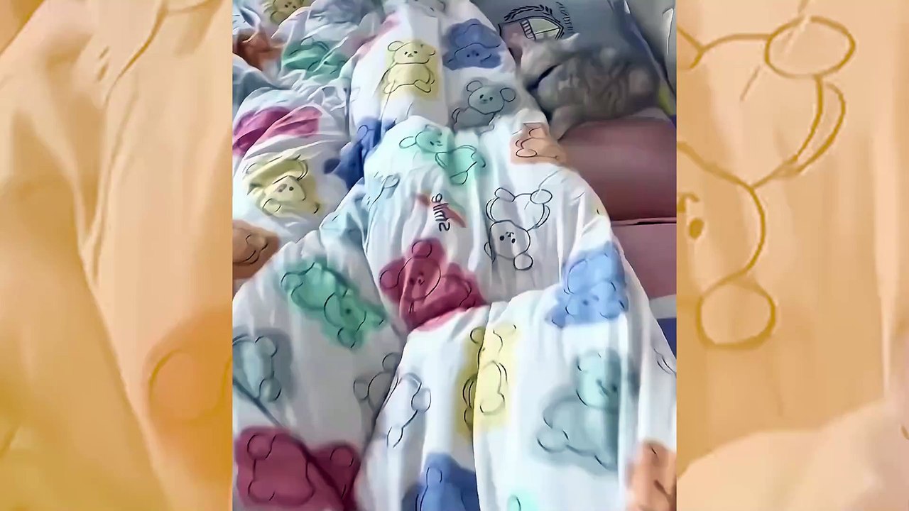 Överdos av gullighet: om du gillar katter kommer du att älska den här videon