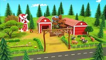 Old MacDonald Had a Farm | Newborn Baby Songs & Nursery Rhymes