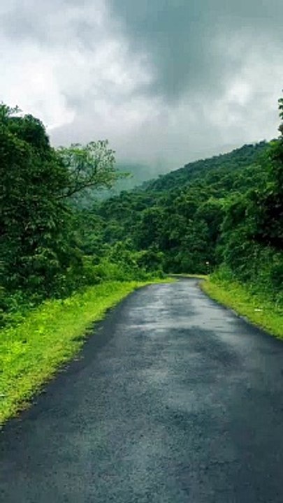 Roma and Diana Pretend Play Cooking Food Toys with Kitchen Play Set