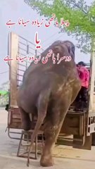 Here's my latest video