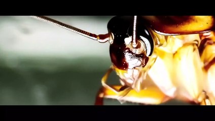 Redcon - 1 ( Korku Filmi ) 720p HD