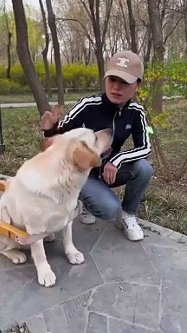 ⁣#Pets#Animals#Funny Pets
