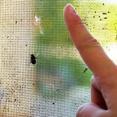 43 GENIUS LIFE HACKS FOR AN EASY LIFE