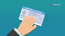 Alaska Driving Test: Everything You Need to Know| USA DMV