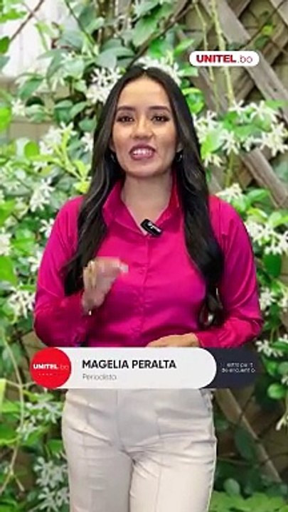 ¡Toma nota! Estas son las plantas con mejor aroma para tener en casa
