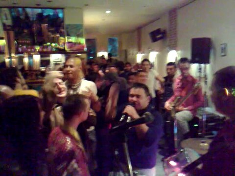 LES FIGUES DE BARBARIE CACTUS TOULOUSE 4