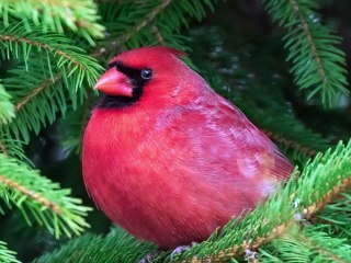 help identify this song! "don't walk away" #lostwave #rock #80s