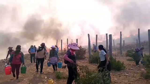Comunarios intentan sofocar incendio en Pocona zona Chilijchi-gTq1x1QgX1VQZFFKiTyOO
