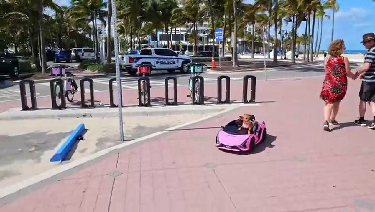 Fort Lauderdale Las Olas Beach Spring Break