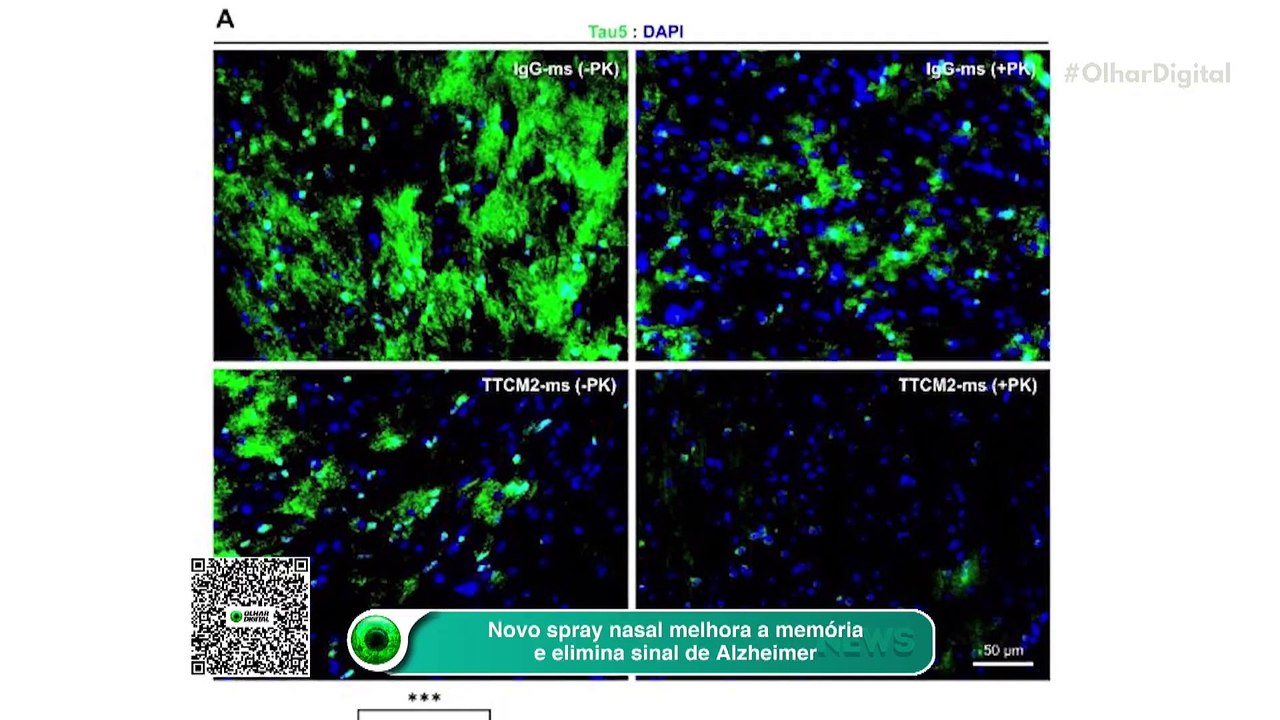 Ao vivo | Vida em Marte? Há novos sinais! | 26/07/2024 | #OlharDigital