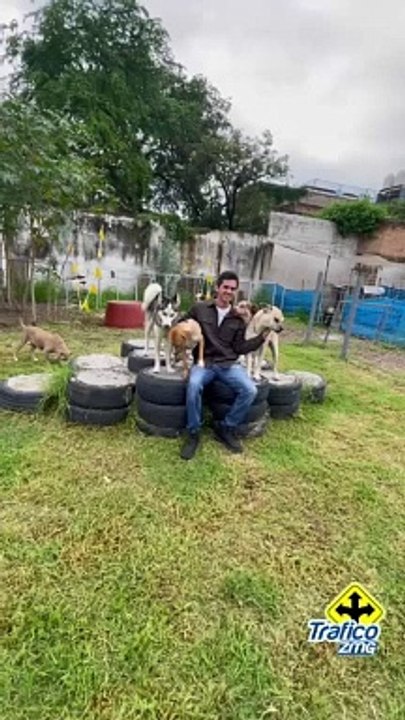 Wally creó un refugio de perros, donde pueden resguardarlos mientras encuentran un nuevo hogar