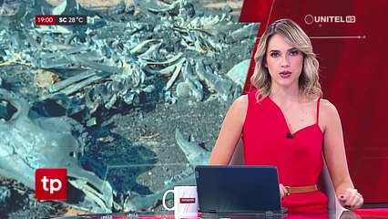 Un aprehendido por quemas en Guarayos dice que fue contratado para limpiar un potrero