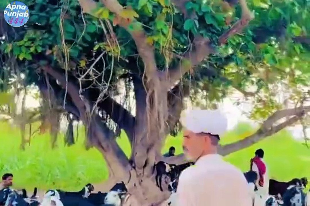 Pind dehat gaon village  Kia ha  purani yadain old punjab culture