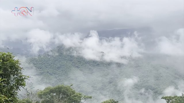 Hojancha es un ejemplo de conservación ambiental en Guanacaste