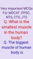 The smallest muscle and biggest muscle of the human body