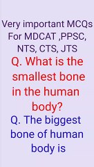 The smallest bone and biggest bone of the human body