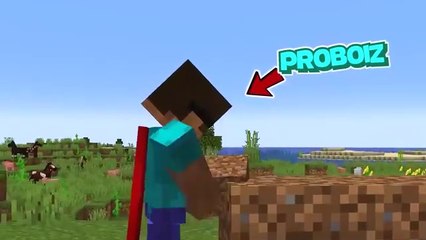 Minecraft BUT I PLACE 1,000,000 BLOCKS...