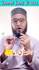 "Islamic Videos: Insight and Inspiration"