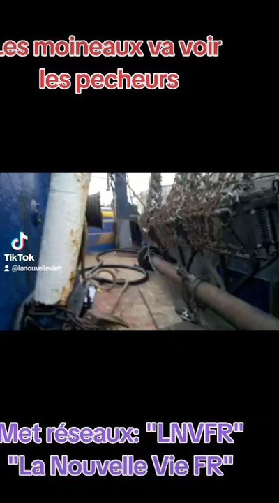 les moineaux vont voir les pêcheurs lnvfr