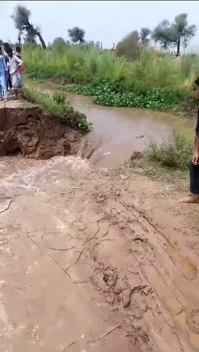 VID-20240724-WA0052