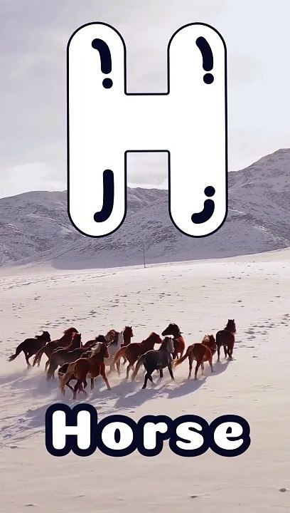 H is for Horse  ABC Learning for Kids  Fun  Shorts