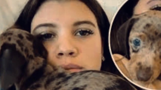 Watch sofiathebaddie twitter video _ sofia the baddie dog video _ sofiathebaddie reddit video