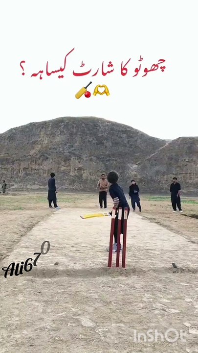 Cricket