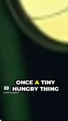 transformation from caterpillar to butterfly