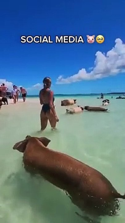 Place in real life