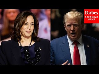 Top Pollster Explains How Energy Behind Kamala Harris 'Has Completely Changed This Election'