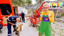 Fire-fighting Dogs Compilation for Kids | Educational Videos For Children | Kidibli