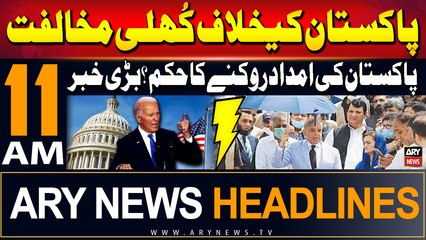 ARY News 11 AM  Headlines | 27th July 2024 | Bill Against Pak in USA