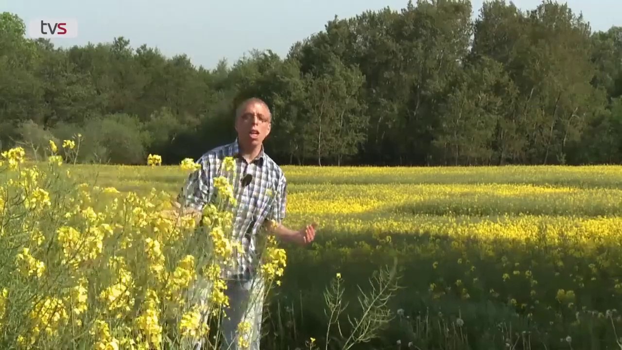 Poul på landet | 4:10 | Sendt i 2014 på TV SYD