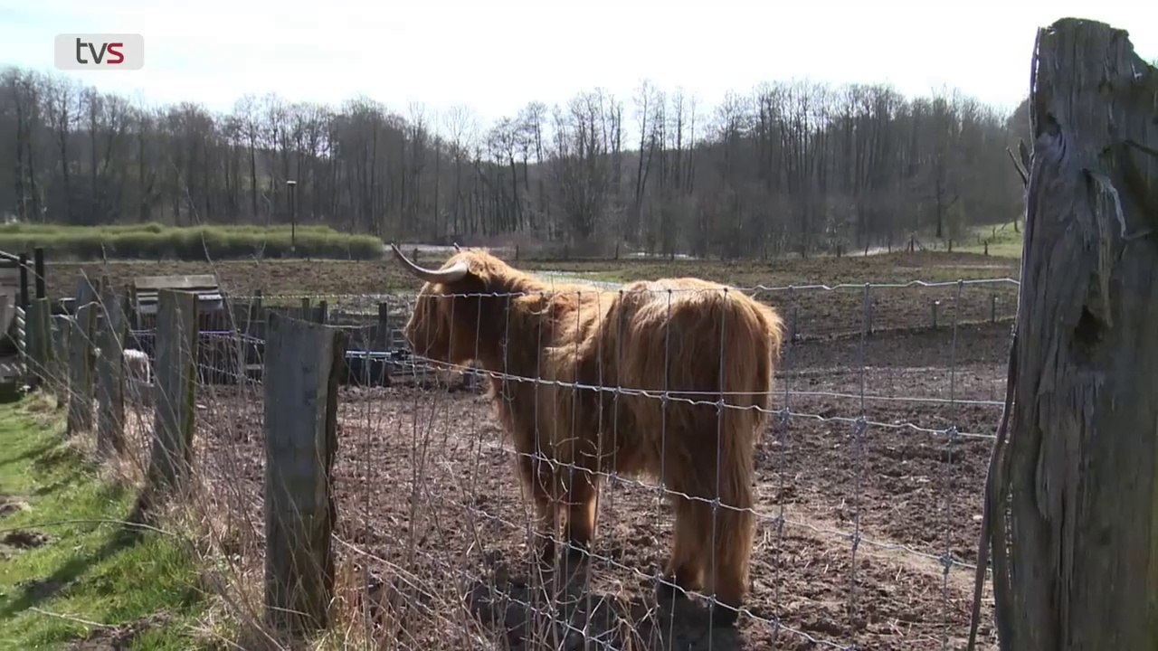 Poul på landet | 8:10 | Sendt i 2015 på TV SYD