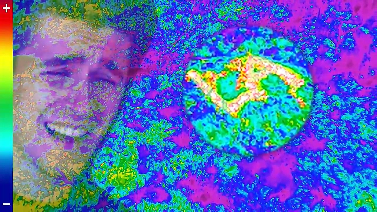 MR BEAST SURVIVED A PLANE CRASH!