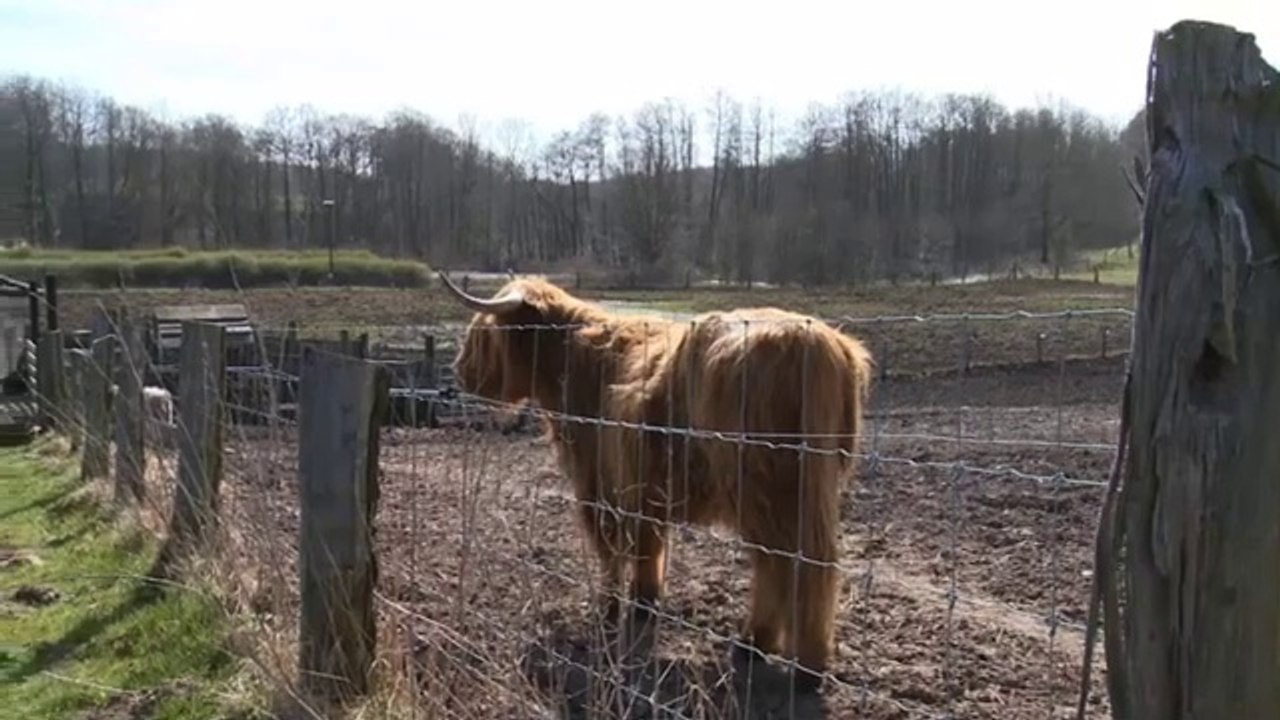 Poul på landet | 10:10 | Sendt i 2015 på TV SYD