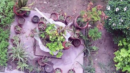 Best Habits To Improve Lifestyle||How To Have Happy Life||Tips For organis home and kitchen