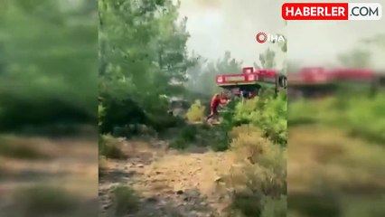 Milas'ta orman yangını