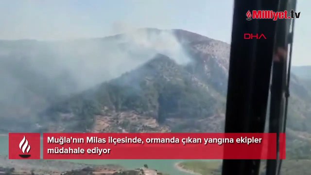 Muğla'nın Milas ilçesinde orman yangını