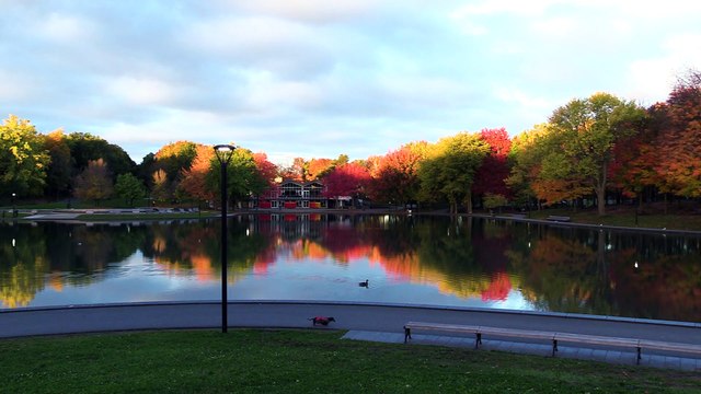 Stunning Nature: Colorful Trees and Serene Water Lake | Relaxing Scenery