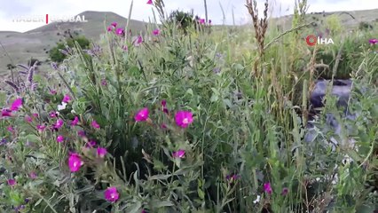 Erzurum'da sis bulutları şelale görüntü oluşturdu