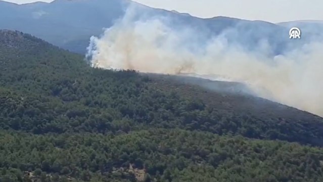 Milas’ta orman yangını! Ekipler müdahale ediyor