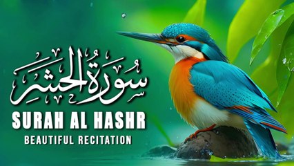 Beautiful Recitation and Calm Recitation Of Surah AL Hashr | Tilawat e Quran | Al Quran